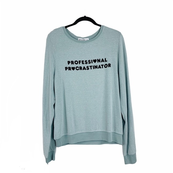 Wildfox Professional Procrastinator Pullover Small , Large - Picture 2 of 6